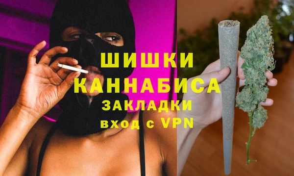 бошки Надым