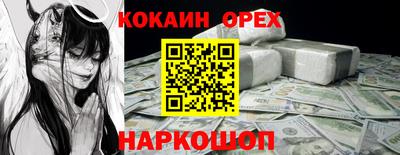 гашик Гатчина
