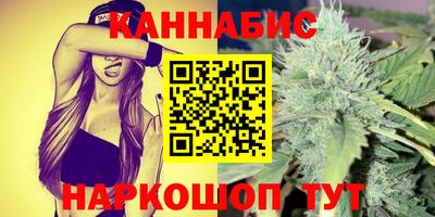 гашик Гатчина