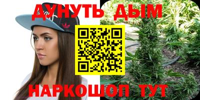 гашик Гатчина