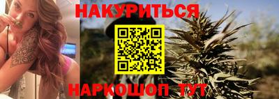 гашик Гатчина