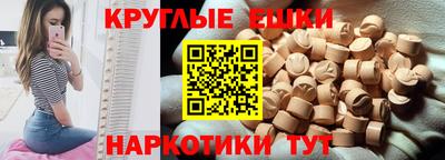 спиды Гай