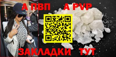 спиды Гай