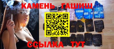 спиды Гай