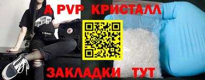 спиды Гай
