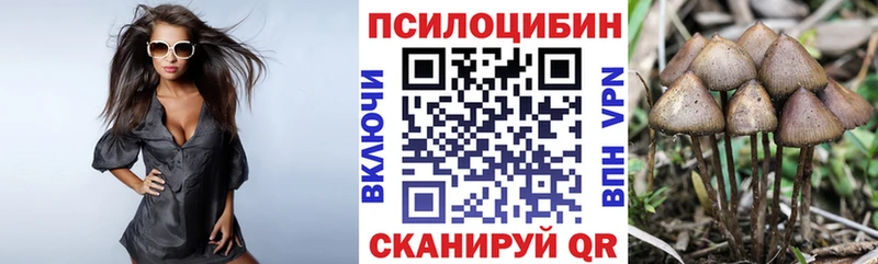 Псилоцибиновые грибы Psilocybine cubensis  мориарти наркотические препараты  Златоуст 