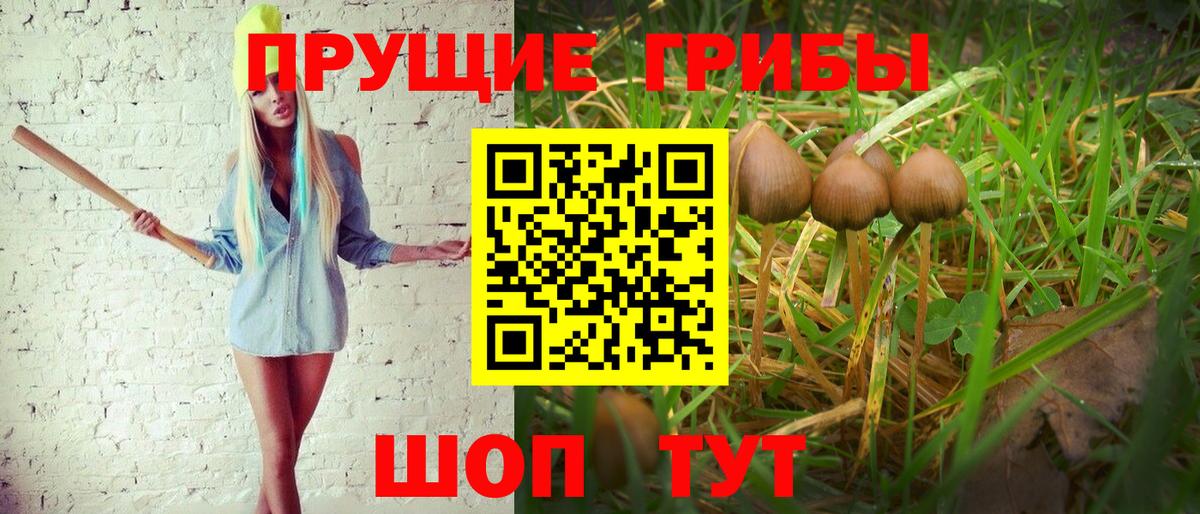 Псилоцибиновые грибы ЛСД  Вход с VPN  Златоуст  Галлюциногенные грибы мухоморы 