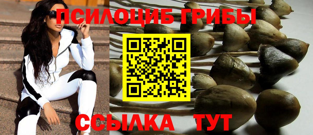 Псилоцибиновые грибы Magic Shrooms  Галлюциногенные грибы Cubensis  Златоуст 