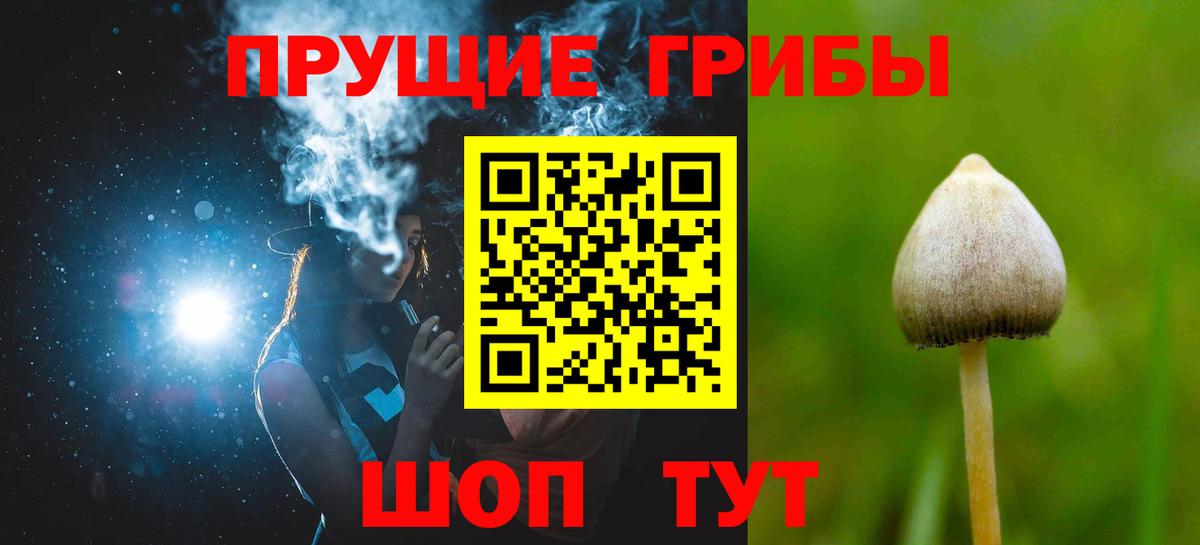 Псилоцибиновые грибы мухоморы Златоуст